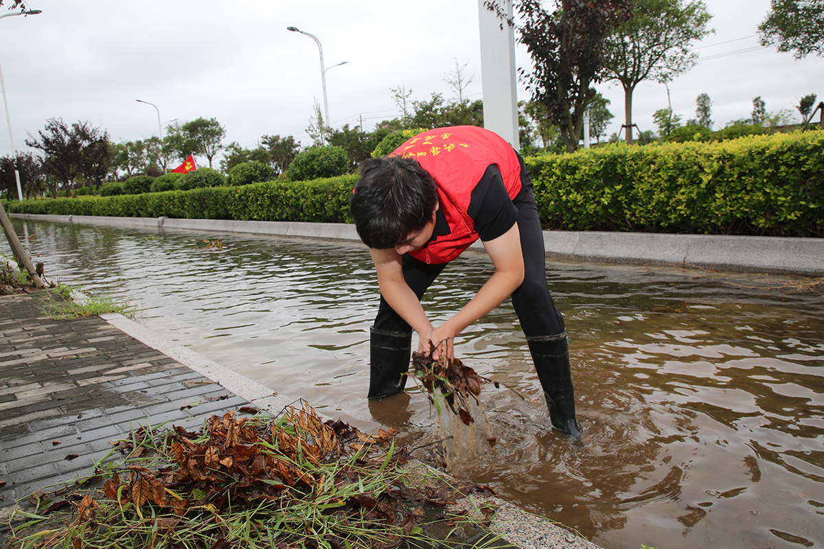 (0830審)高擎黨旗走在前 排澇疏浚顯擔當+新灘鹽場+朱蕓琦(封面圖).jpg